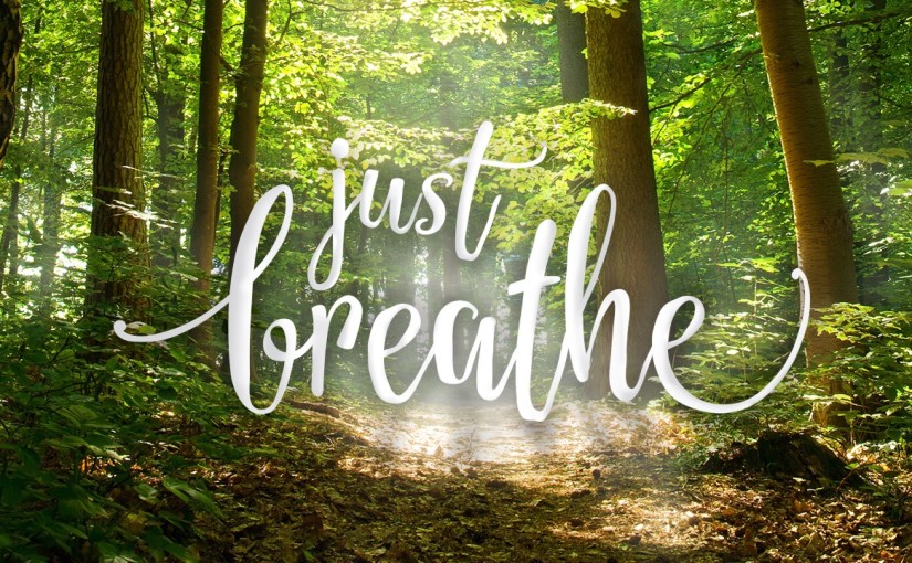 All In Good&nbsp;Time