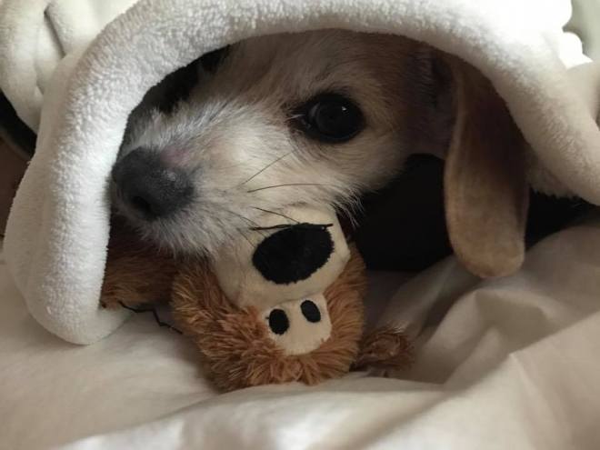 15894256_10211849925509545_946107270092515474_n