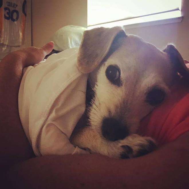 20479438_10213993912027868_1082540418014305773_n