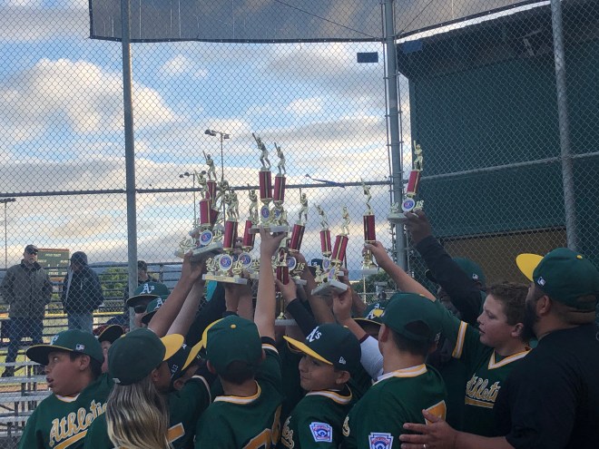 42423420491_77d692e04f_o